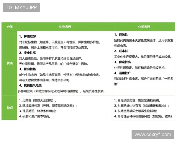 赛后分析：RNG与FPX在团队协作中的优劣势对比与启示