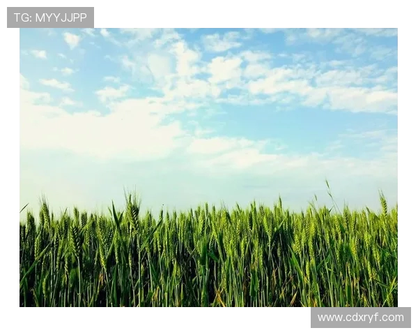 萨林杰的文学世界与心灵探索:从麦田里的守望者看现代青年的孤独与反叛