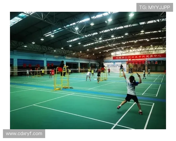 南京羽毛球队的阵地战解析与未来发展展望